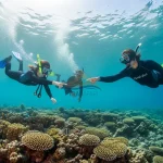 Guided snorkeling experience with premium gear at Ras Mohammed, Sharm El Sheikh.
