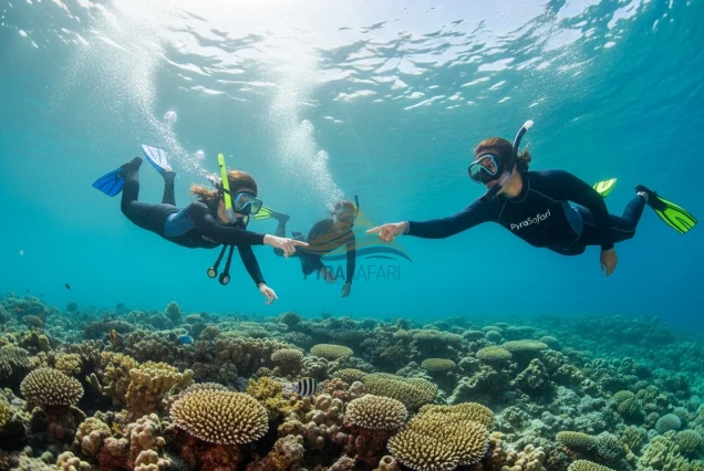 Guided snorkeling experience with premium gear at Ras Mohammed, Sharm El Sheikh.