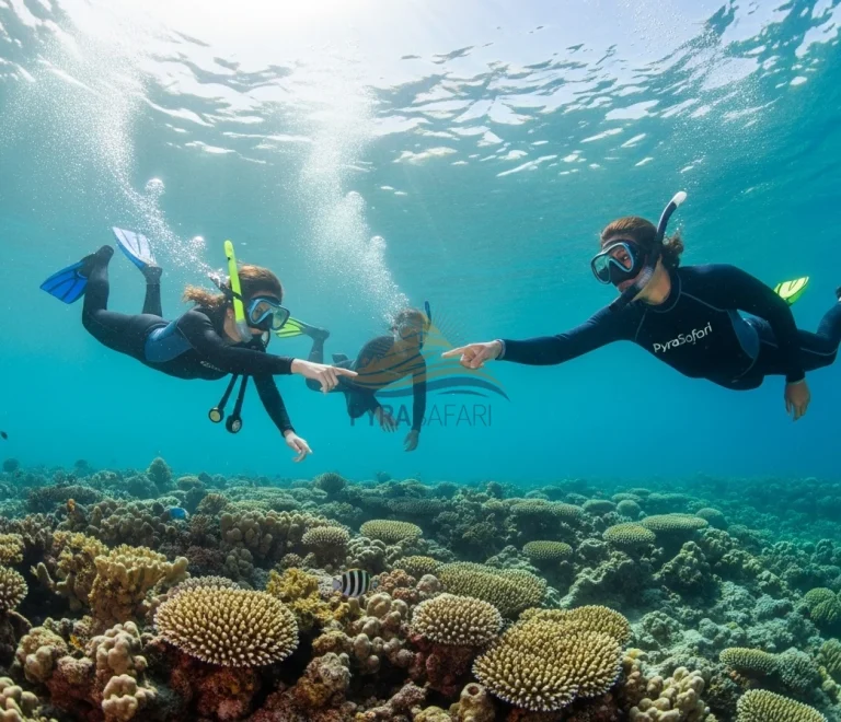 Guided snorkeling experience with premium gear at Ras Mohammed, Sharm El Sheikh.