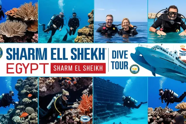 advanced diving Sharm El Sheikh, best dive sites in Egypt, multiple dive package Sharm, Red Sea diving experience, Ras Mohammed diving tour, Tiran Island dive sites
