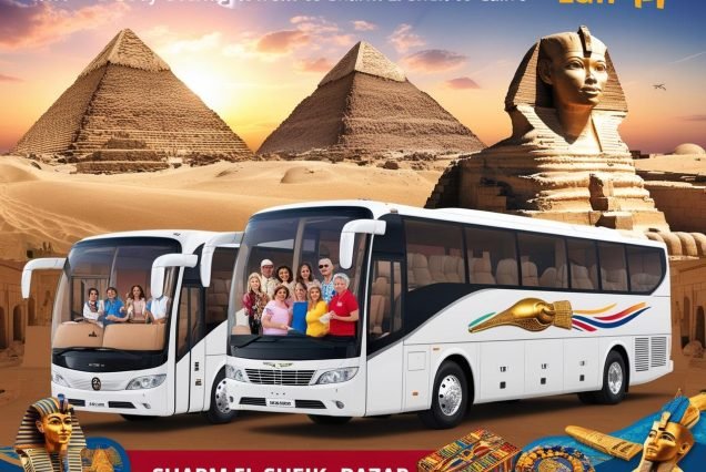 Cairo tour from Sharm El Sheikh, overnight bus tour to Cairo, Sharm El Sheikh to Giza Pyramids, budget-friendly Cairo trip, best Cairo tours,pyrasafrai.com sharm el sheikh
