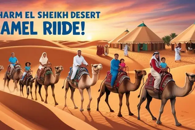 Camel Ride & Bedouin Camp Family Adventure | Traditional Desert Experience