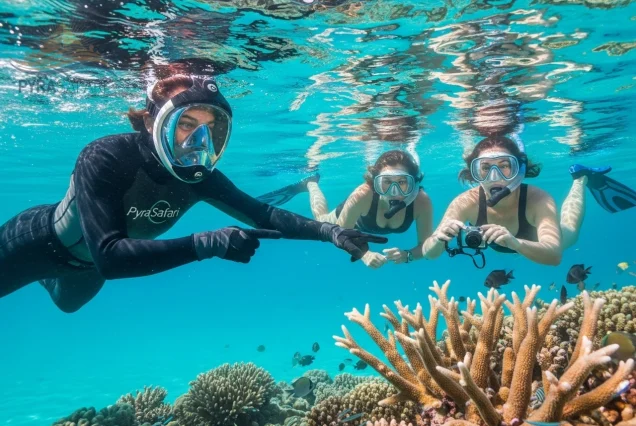 Expert-PyraSafari-guide-showing-marine-life-to-snorkelers-in-Ras-Mohammed-Red-Sea