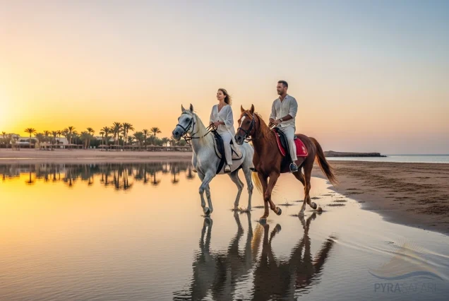 Luxury sunset horse riding experience on Sharm El Sheikh beach with Arabian horses