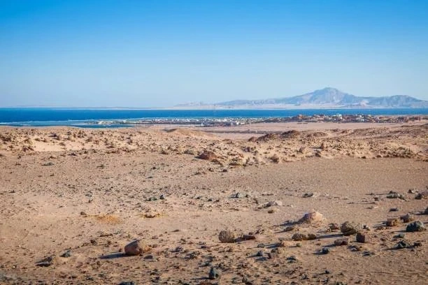 Explore the untouched beauty of Nabq National Park in Sharm.