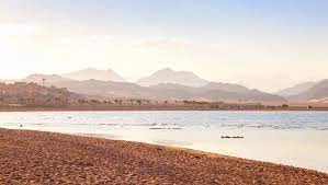 Explore the untouched beauty of Nabq National Park in Sharm.