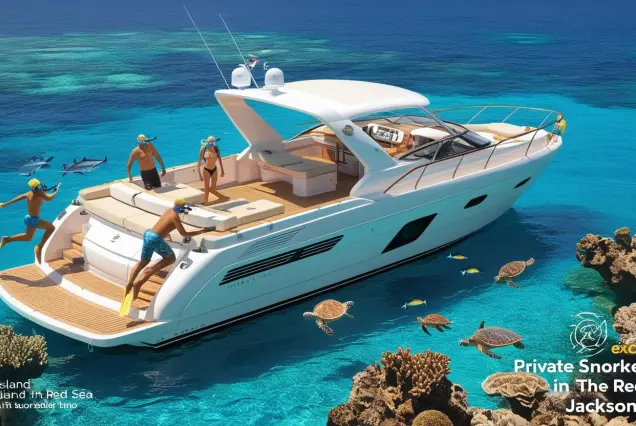 Tiran Island snorkeling, private snorkeling tour Sharm, VIP snorkeling Red Sea, luxury boat trip Tiran, best snorkeling Sharm El Sheikh, private yacht snorkeling, Red Sea marine life, Tiran Island reefs, snorkeling trip Egypt, exclusive boat tour
