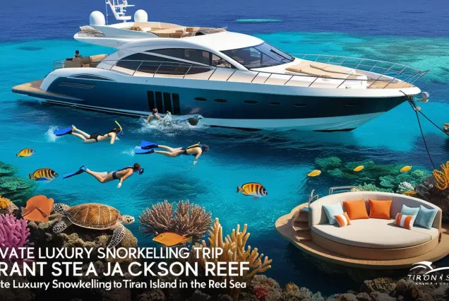 Tiran Island snorkeling, private snorkeling tour Sharm, VIP snorkeling Red Sea, luxury boat trip Tiran, best snorkeling Sharm El Sheikh, private yacht snorkeling, Red Sea marine life, Tiran Island reefs, snorkeling trip Egypt, exclusive boat tour