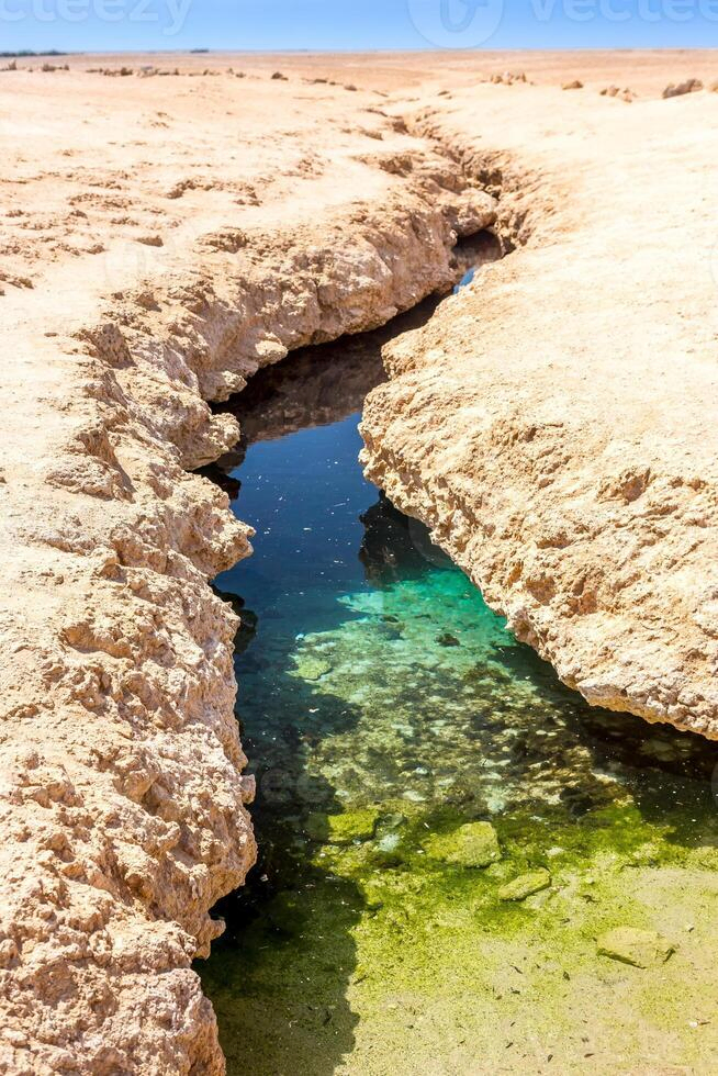 Ras Mohammed snorkeling tour, scuba diving in Sharm El Sheikh