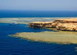 Ras Mohammed snorkeling tour, scuba diving in Sharm El Sheikh
