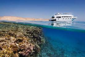 Ras Mohammed snorkeling tour, scuba diving in Sharm El Sheikh