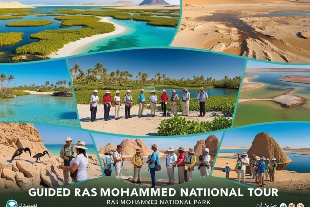 Ras Mohammed National Park Tour Best Eco-Tours in Sharm El Sheikh Cultural Nature Tour in Sinai Mangrove Forest Salt Lake Tour Egypt (1)