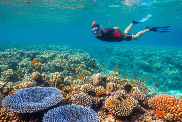 Snorkeling in crystal-clear Red Sea waters at Jackson Reef Tiran Island, vibrant coral and fish