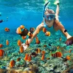 Tiran Island boat trip, Red Sea snorkeling tour