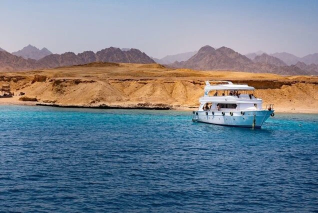 Tiran Island boat trip, Red Sea snorkeling tour